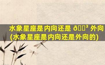 水象星座是内向还是 🐳 外向(水象星座是内向还是外向的)